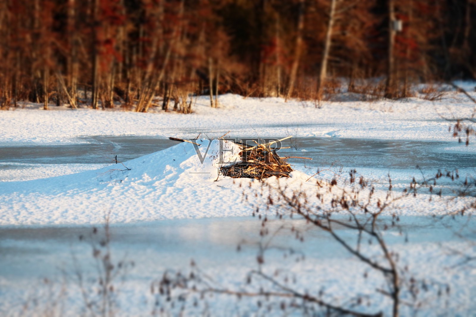 积雪海狸坝照片摄影图片