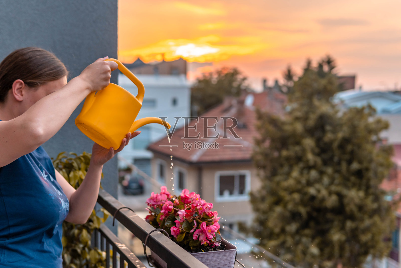 年轻女子浇灌植物和花在她的城市阳台花园日落照片摄影图片