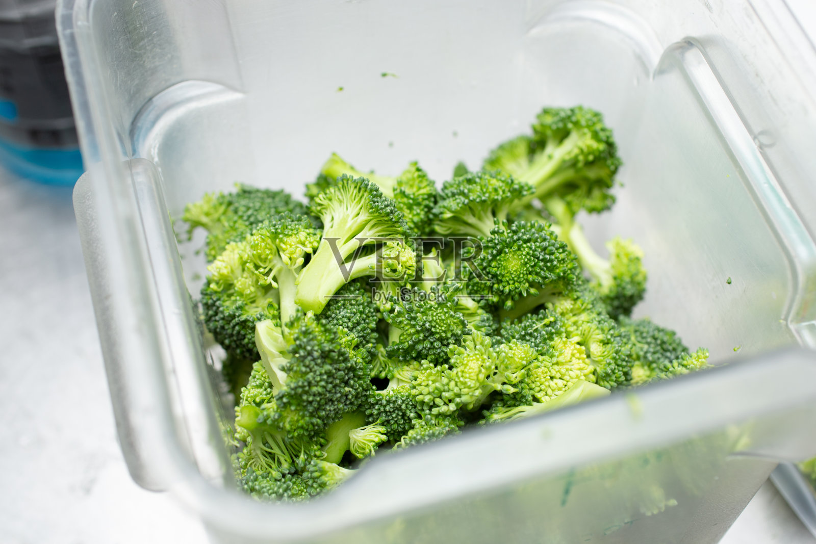 盆中西兰花照片摄影图片