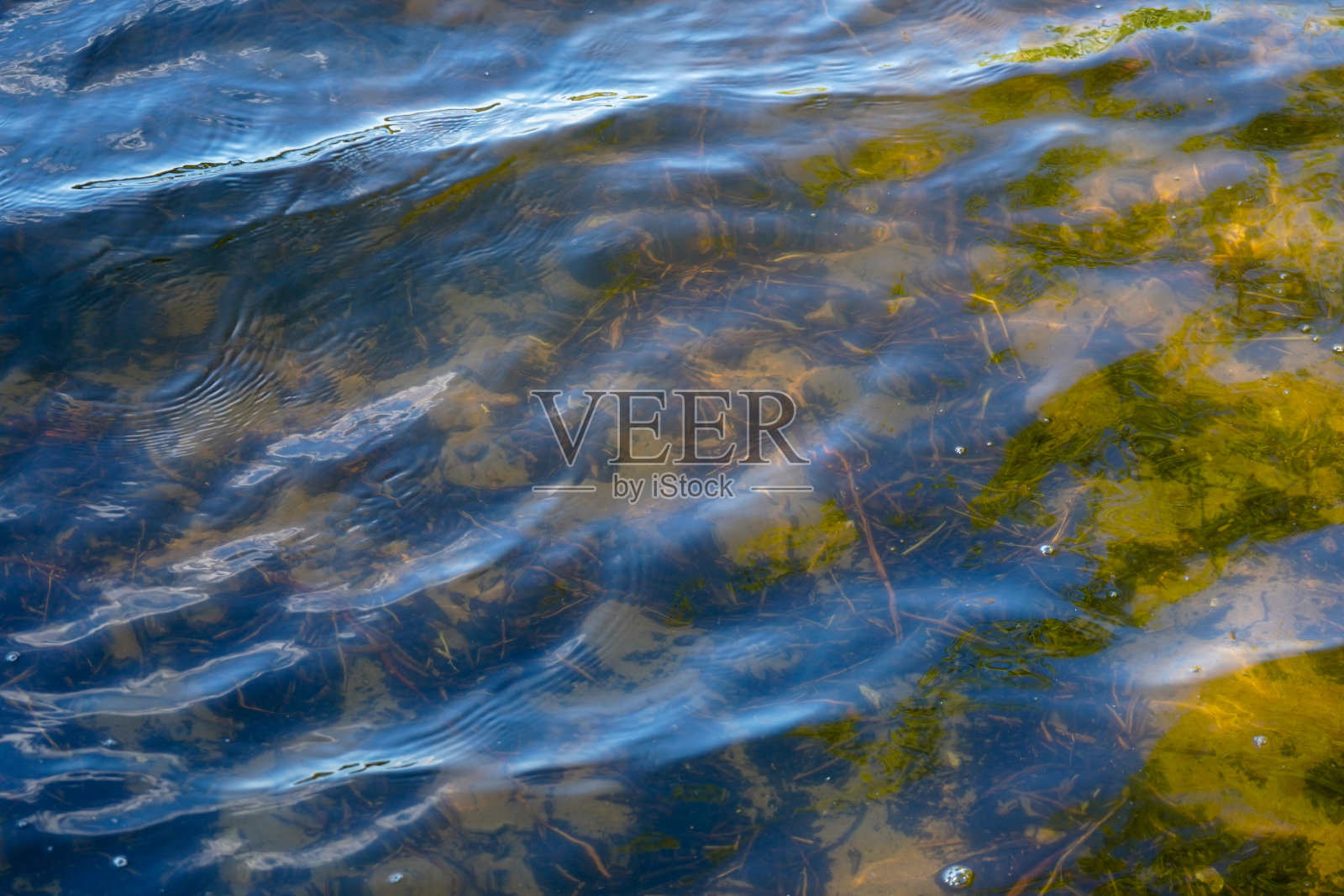 近距离观察水面上的涟漪照片摄影图片