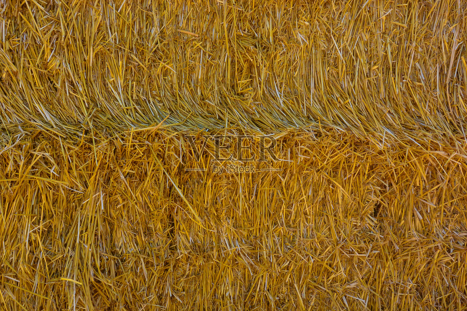 在农田里堆干干草。大草堆收获照片摄影图片