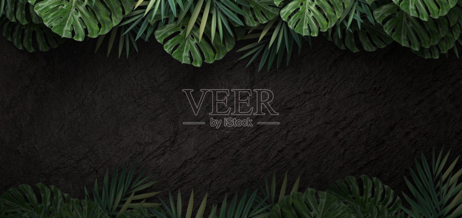 绿色的热带树叶在深色的石头背景，3d渲染照片摄影图片