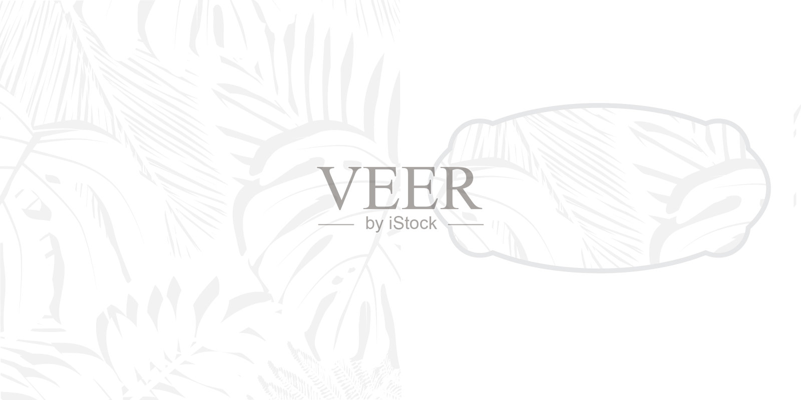 棕榈叶插画图片素材