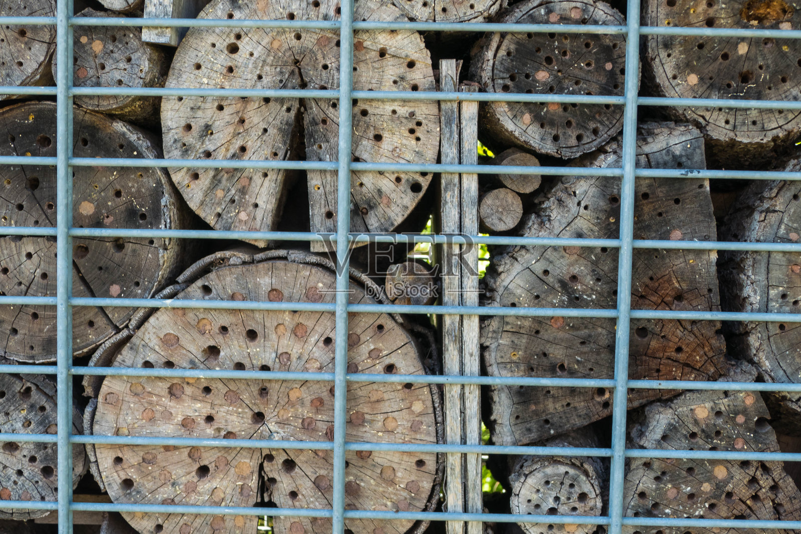 昆虫旅馆的树干表面照片摄影图片