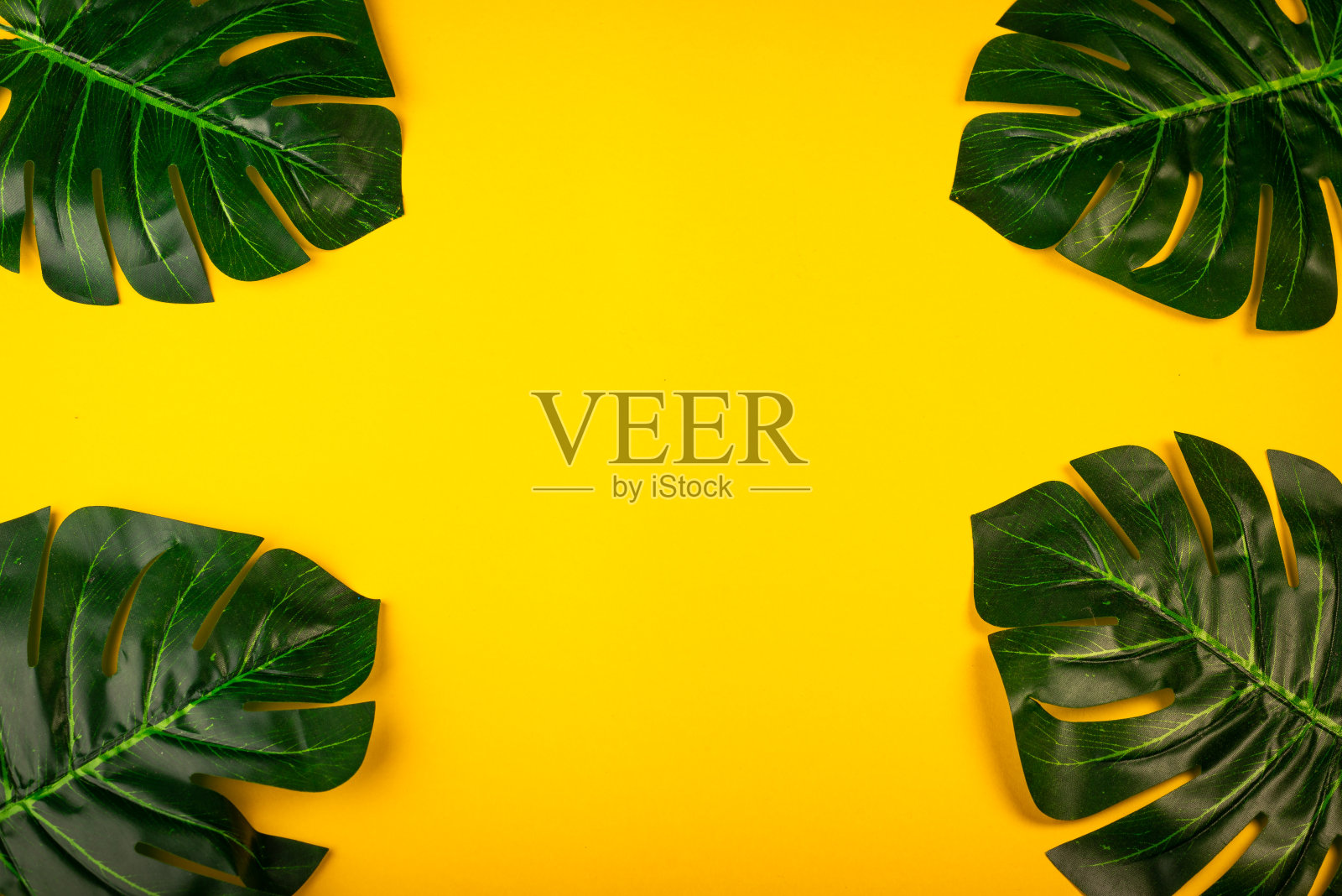 静物画照片摄影图片