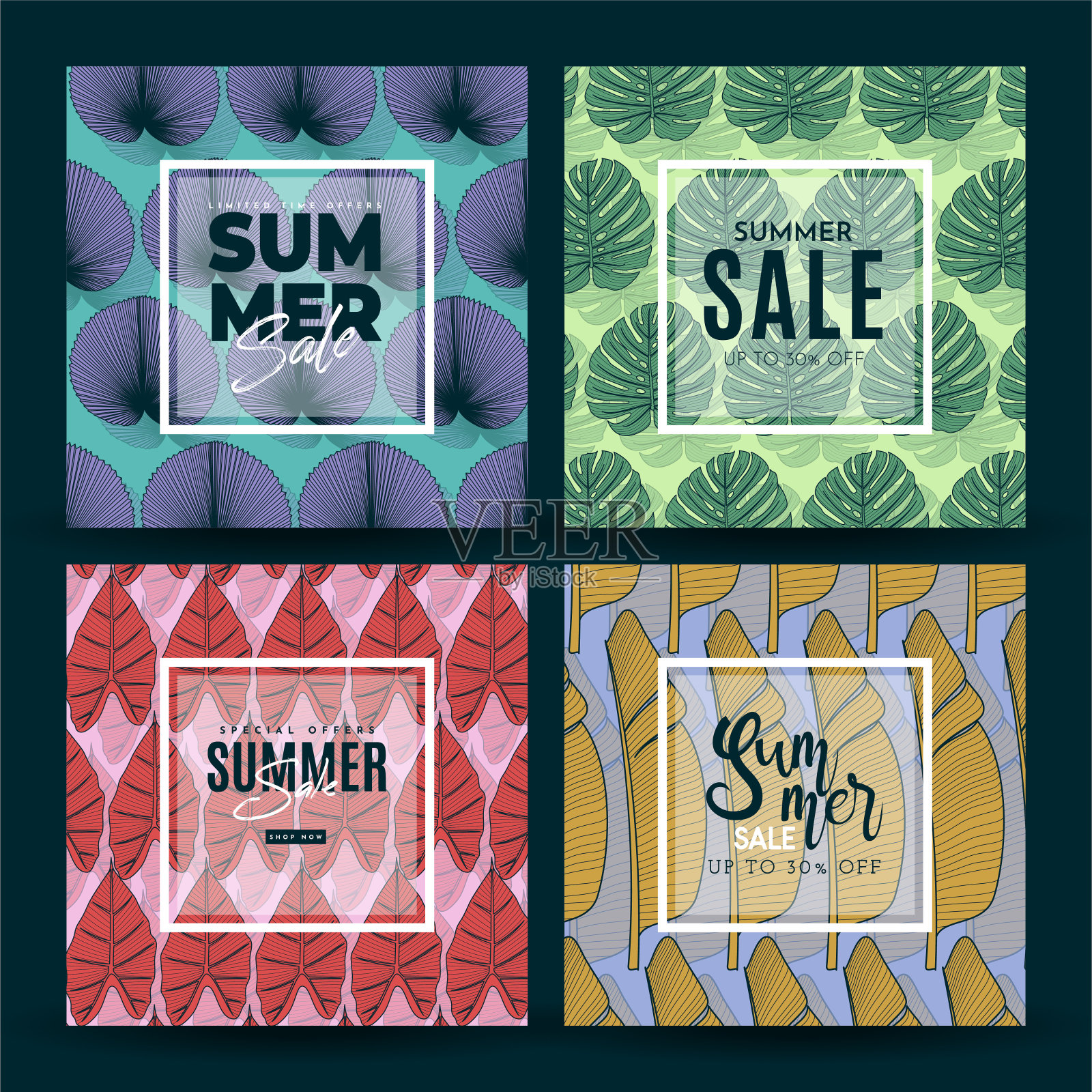 夏季销售横幅与热带树叶背景。矢量图插画图片素材