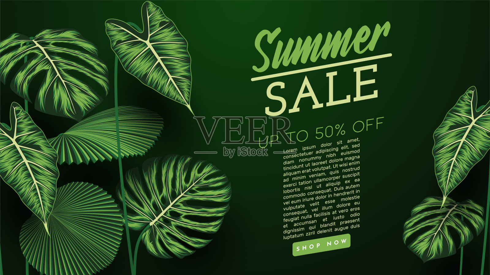 夏季销售横幅与热带树叶背景。矢量图设计模板素材