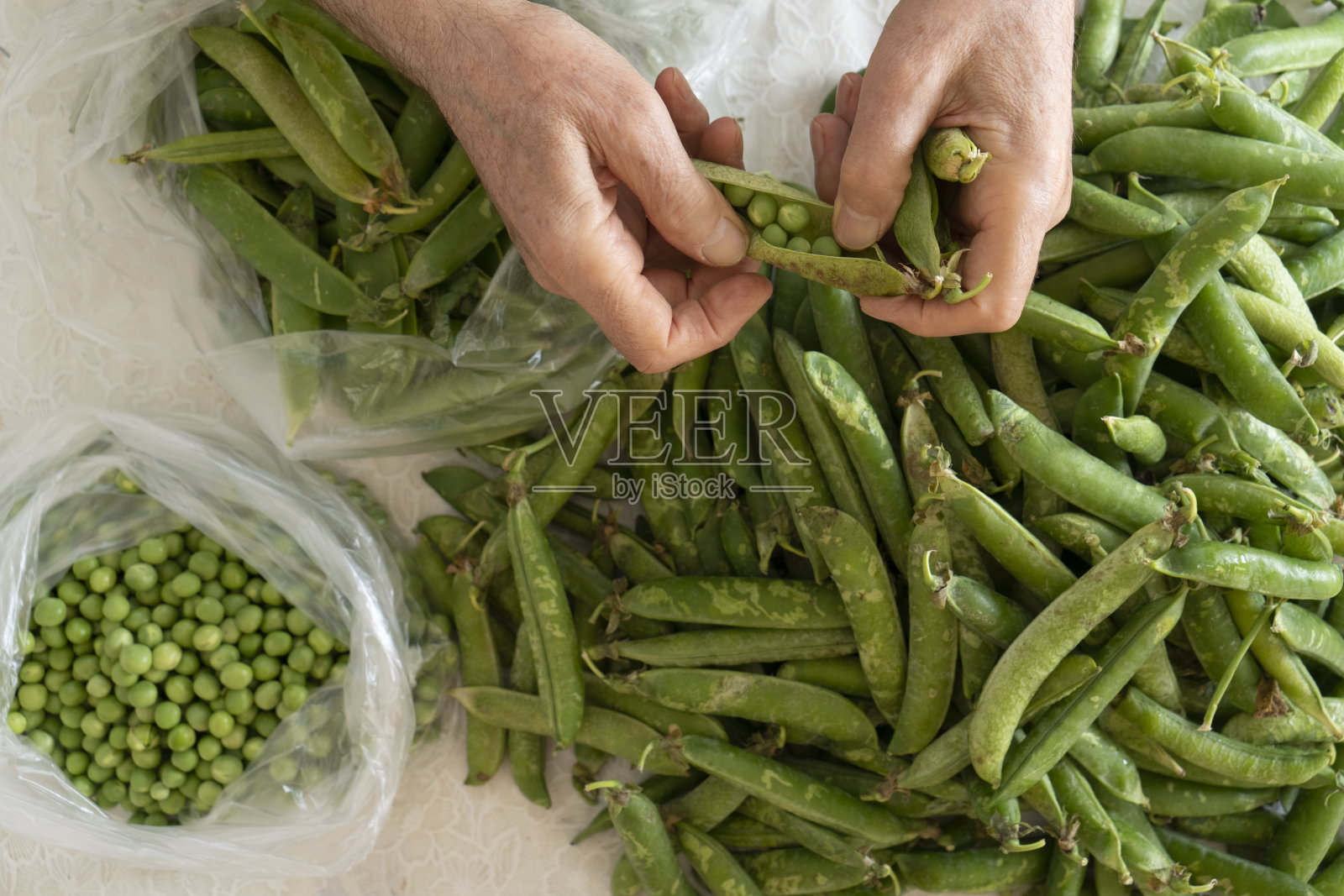 准备青豌豆照片摄影图片