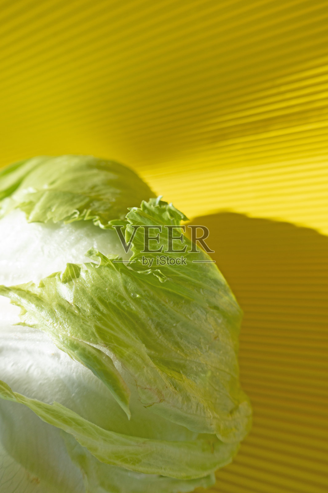 黄色背景上的莴苣蔬菜图案。照片摄影图片