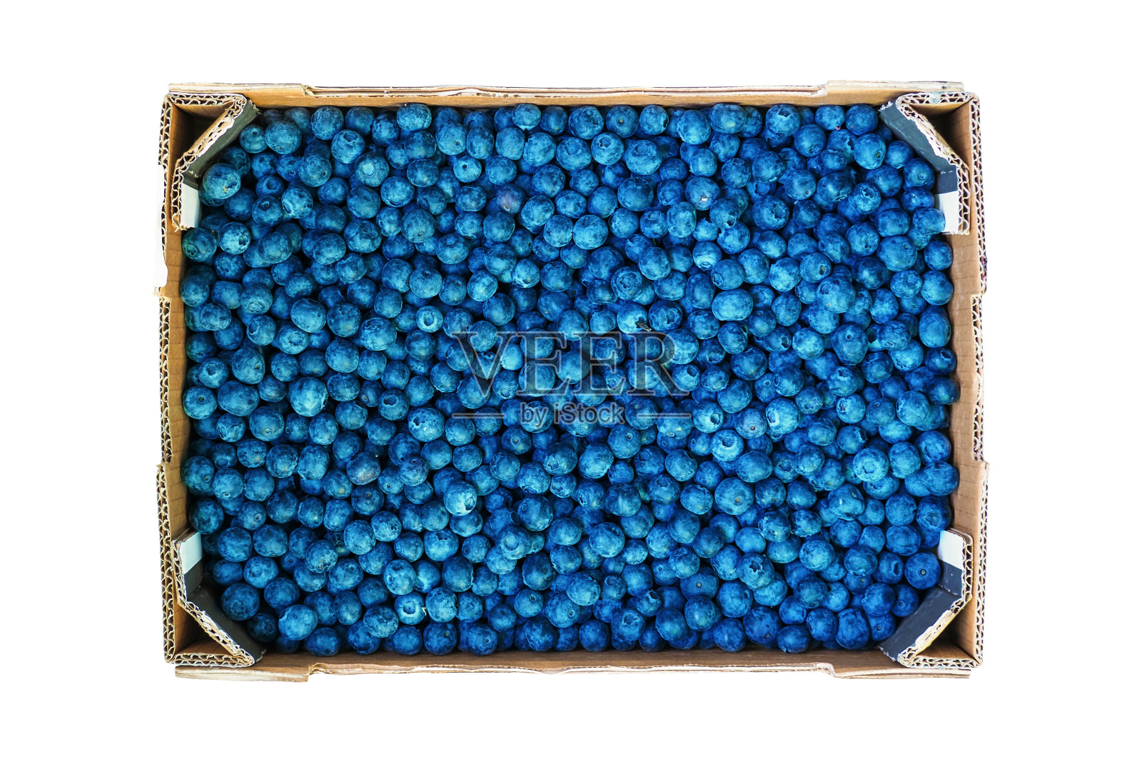 蓝莓果实在纸盒容器中孤立在白色背景下，俯视图。一盒蓝莓或越橘照片摄影图片