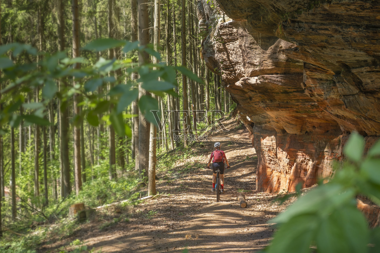 在palatinat森林里骑着山地车的老妇人照片摄影图片