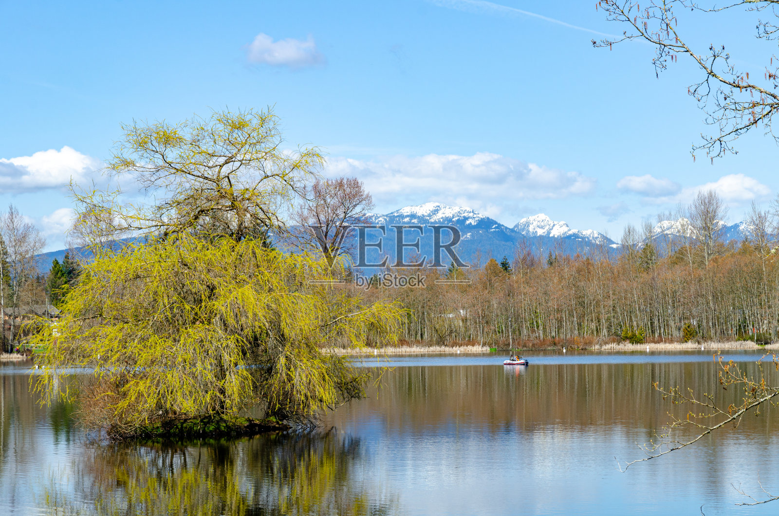 公园里有山上的树照片摄影图片