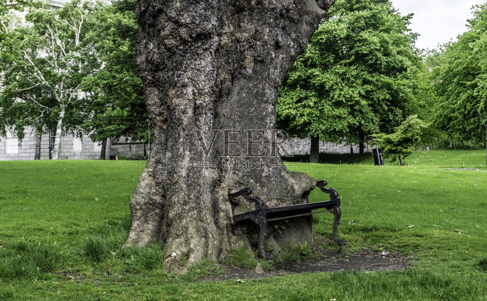 公园里一条消失在树里的旧铁长凳。照片摄影图片