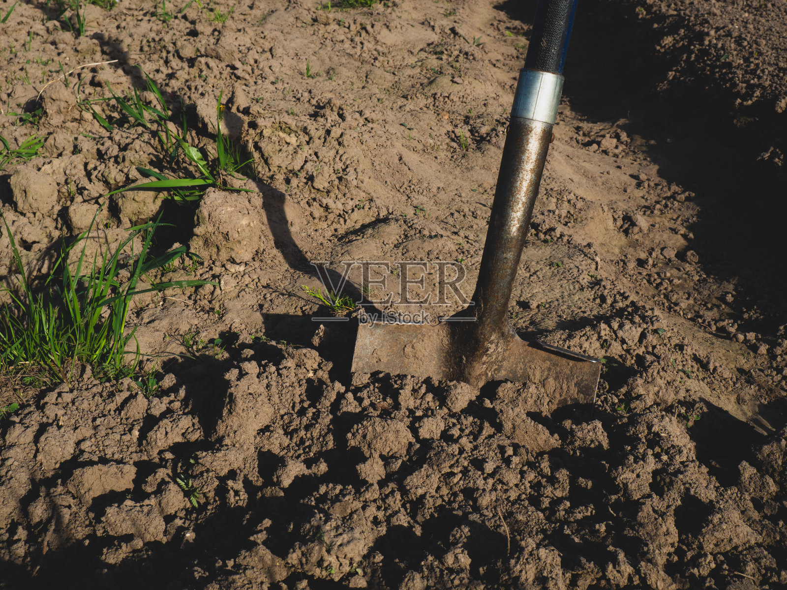 金属铲在花园里的地面上，在春季花园中进行农活照片摄影图片