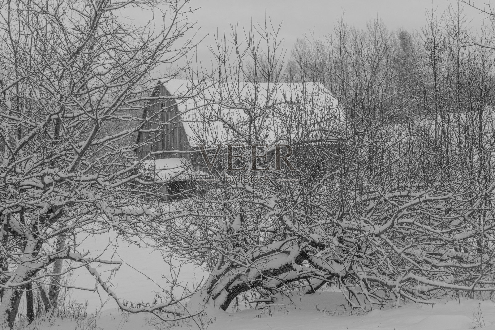 孩子照片摄影图片