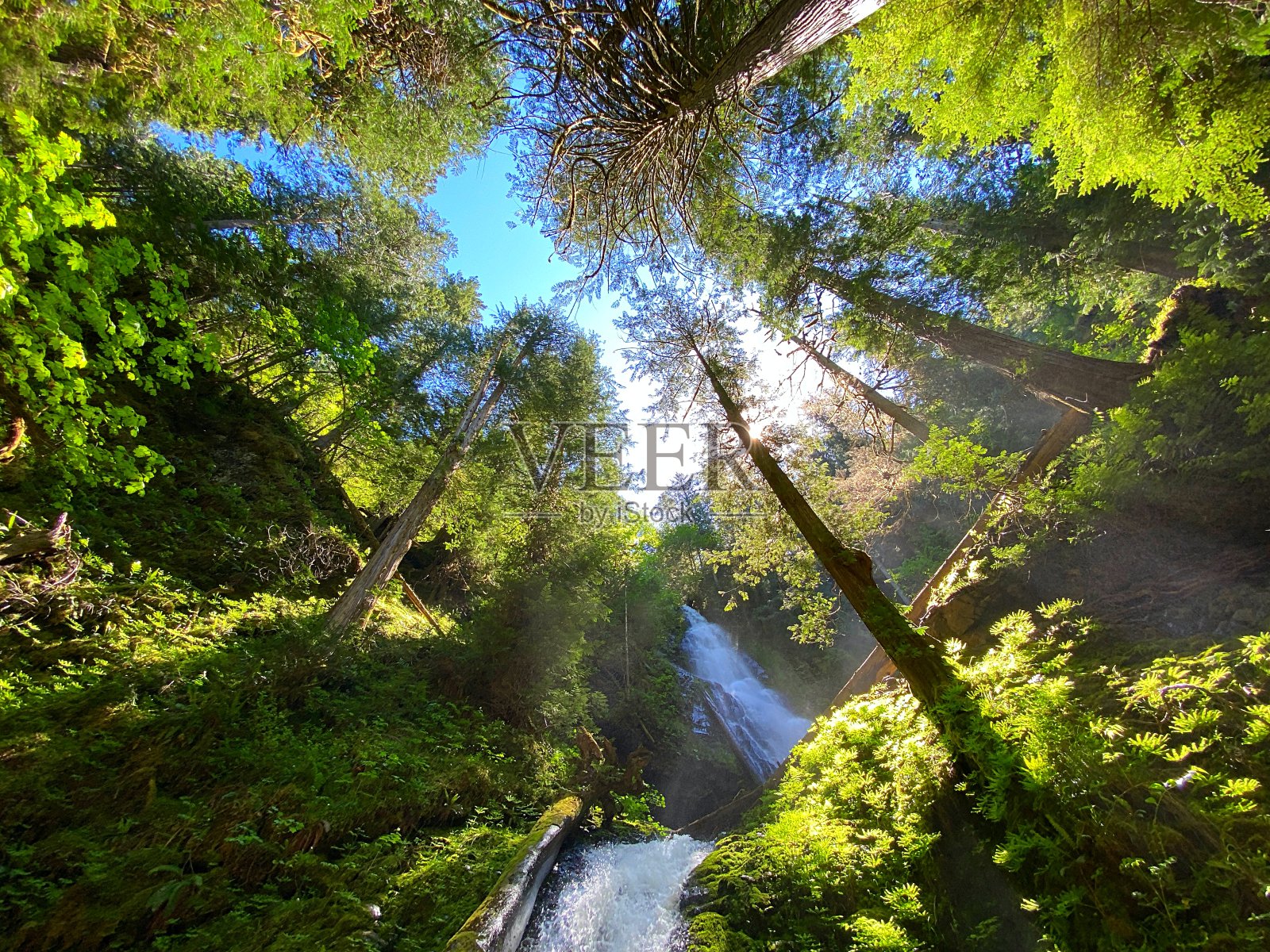 穆尔胡特瀑布照片摄影图片
