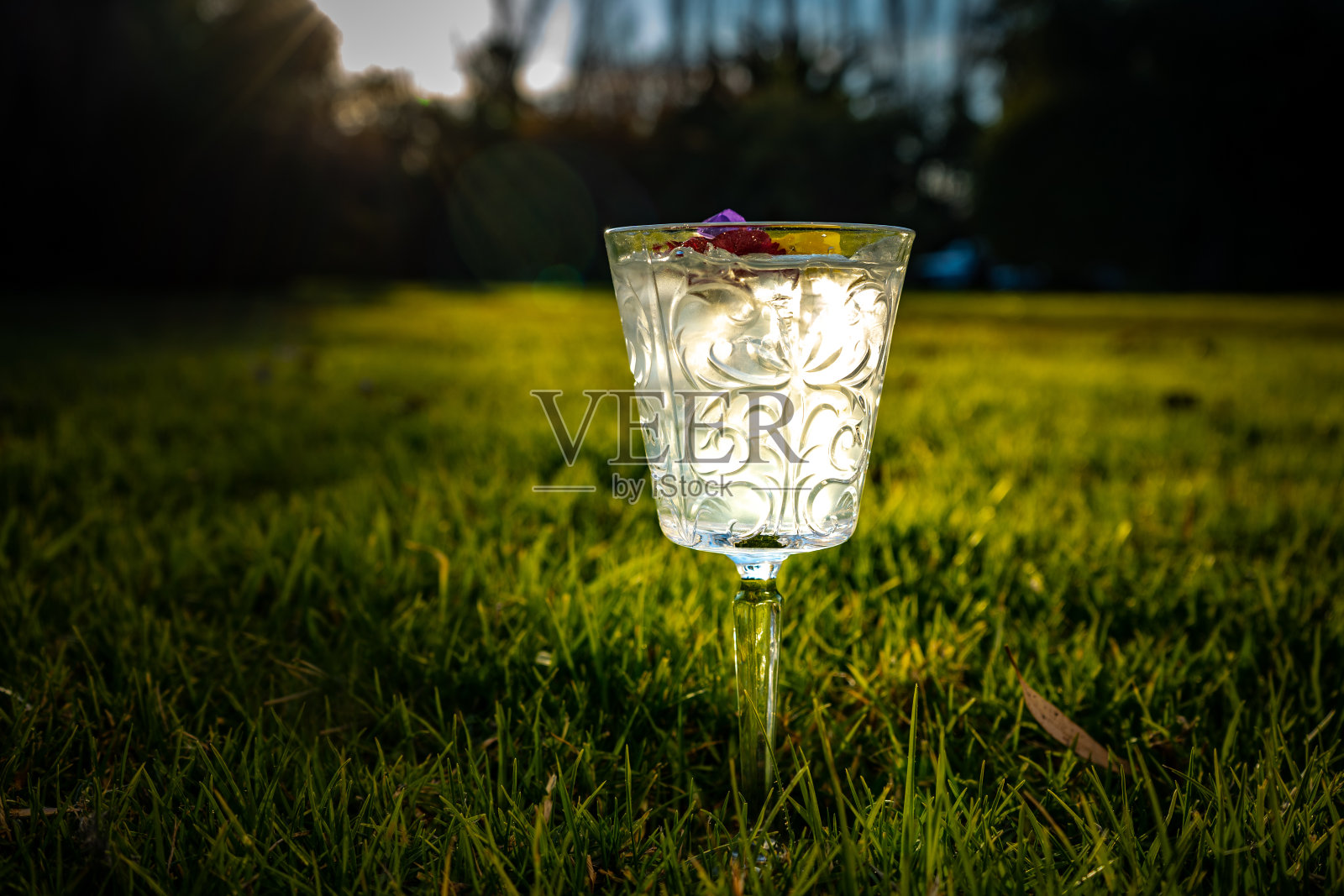 清新的鸡尾酒在复古玻璃与小花装饰在草地上照片摄影图片