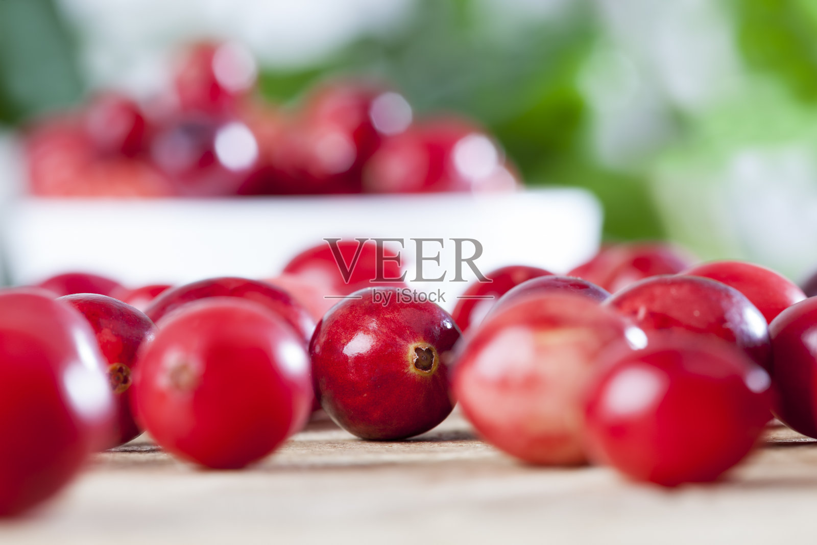 成熟的红莓蔓越橘照片摄影图片