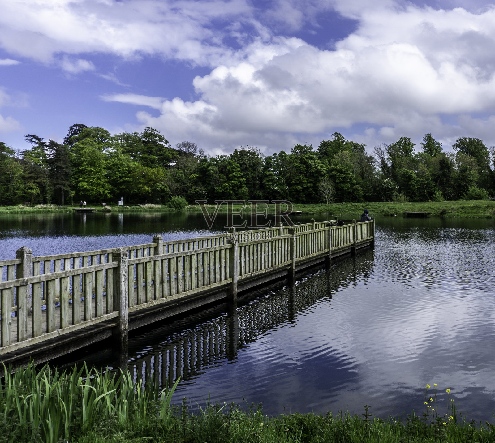 爱尔兰都柏林，科卡奇公园的钓鱼湖。照片摄影图片