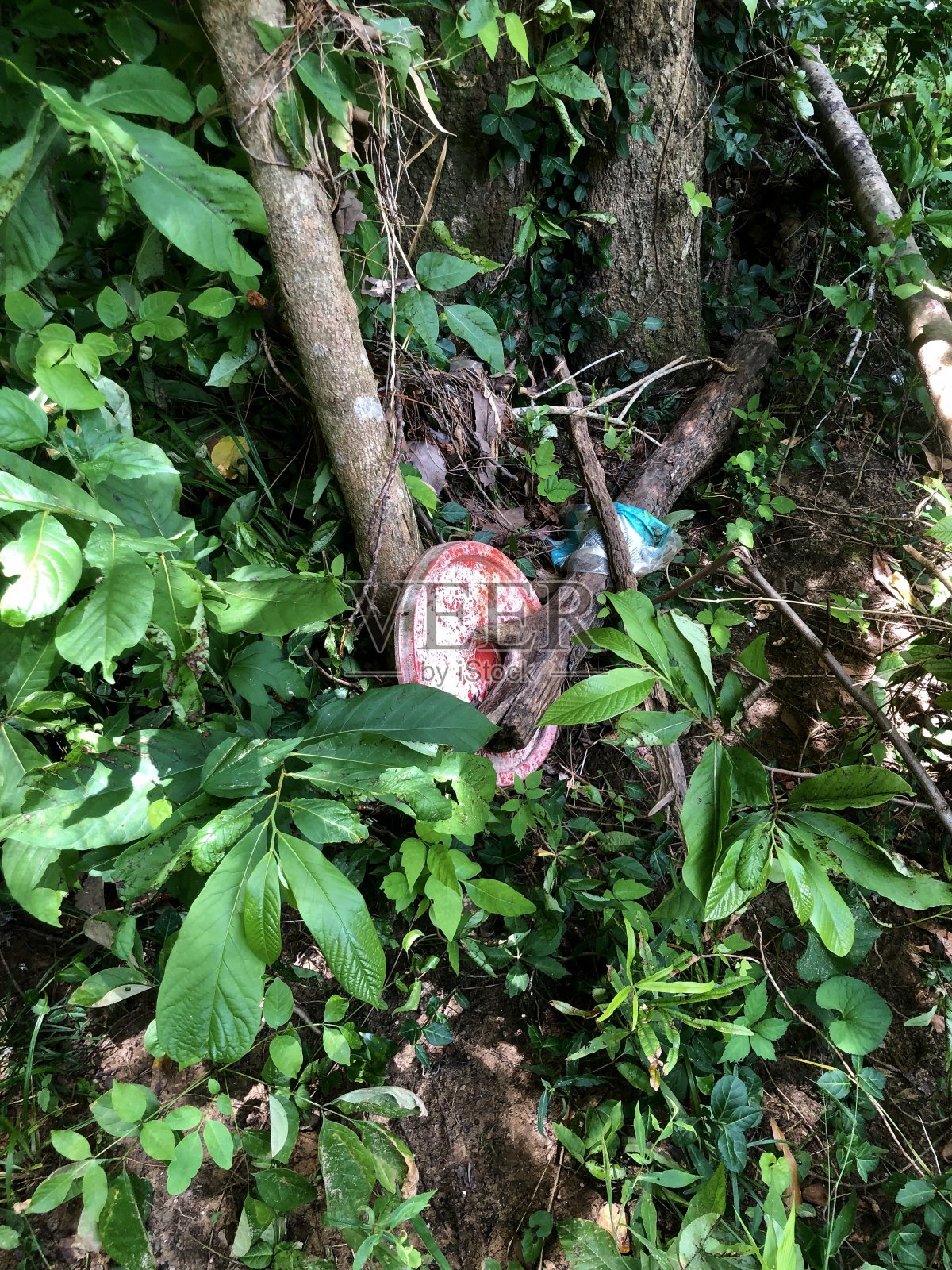 水污染照片摄影图片