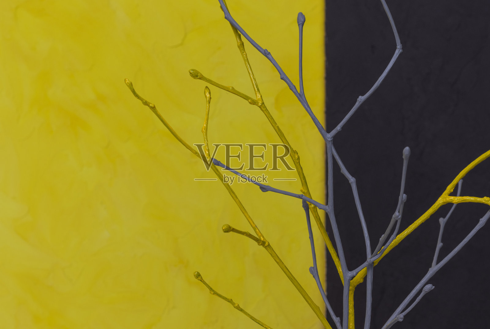 离焦灰黄的树枝特写黄色的背景与复印室。照片摄影图片