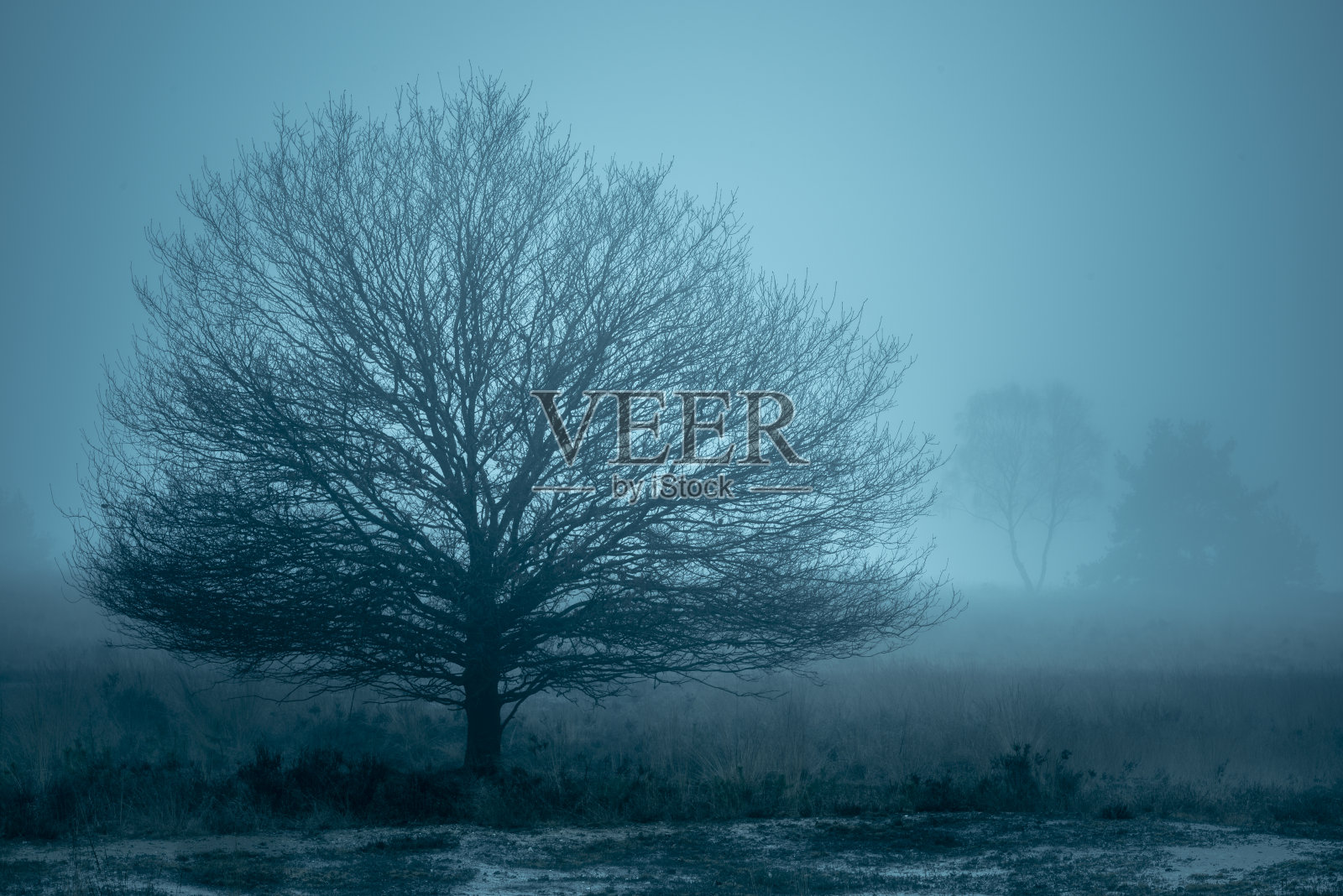 在一个多雾的冬天，俯瞰雾气凄凉、阴森的荒原照片摄影图片