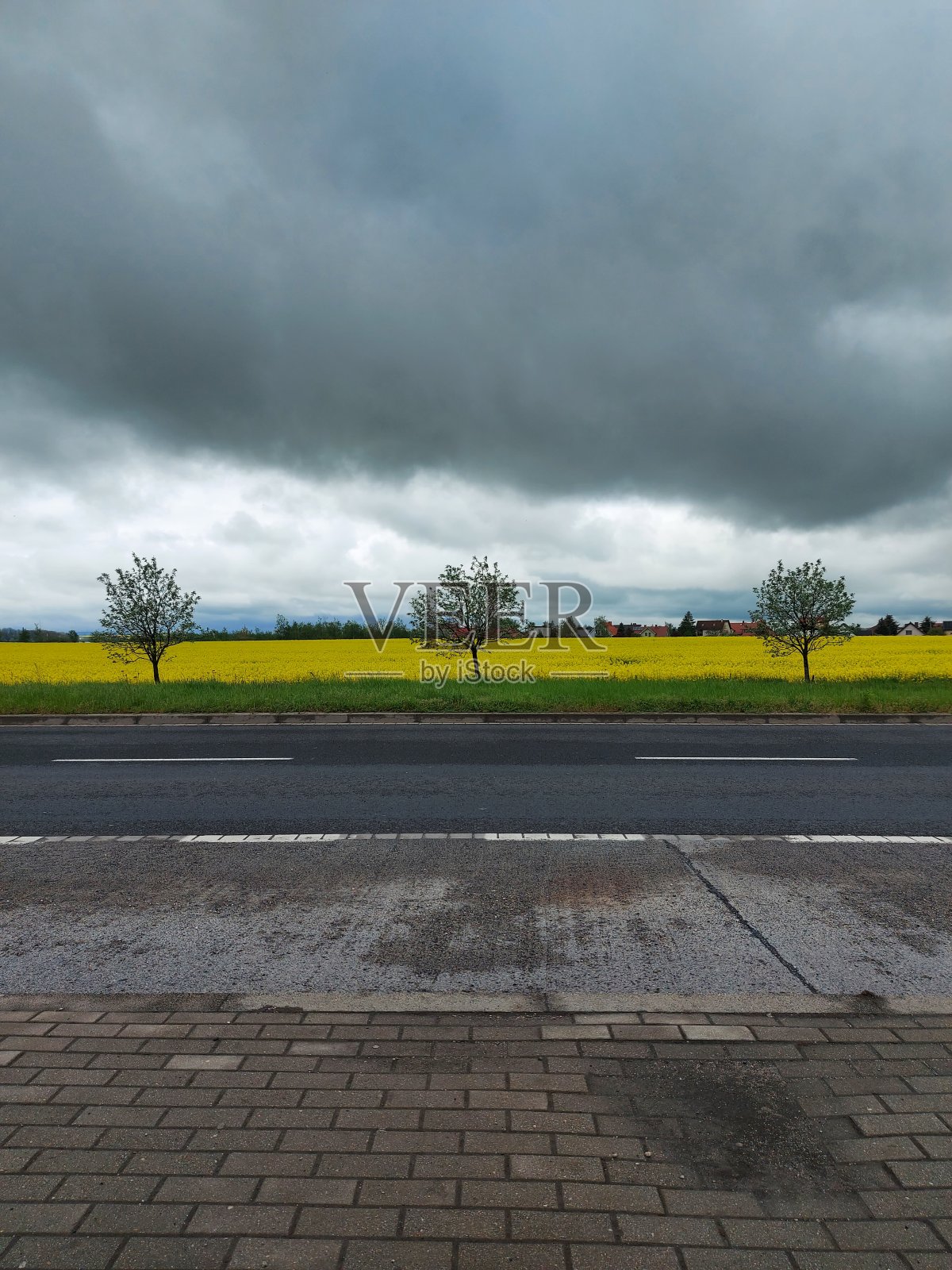 色彩斑斓的照片摄影图片