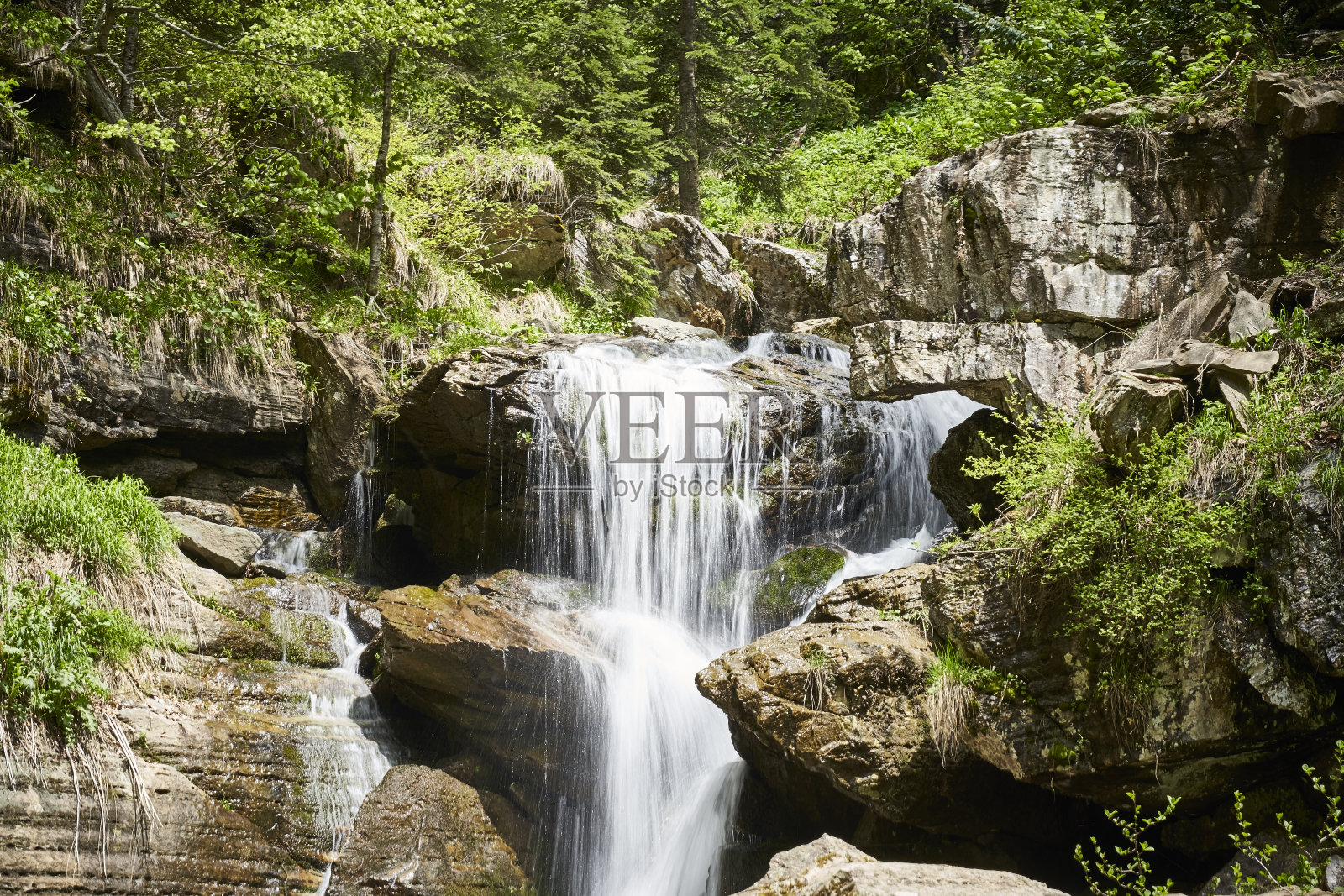 瀑布在森林和山上照片摄影图片