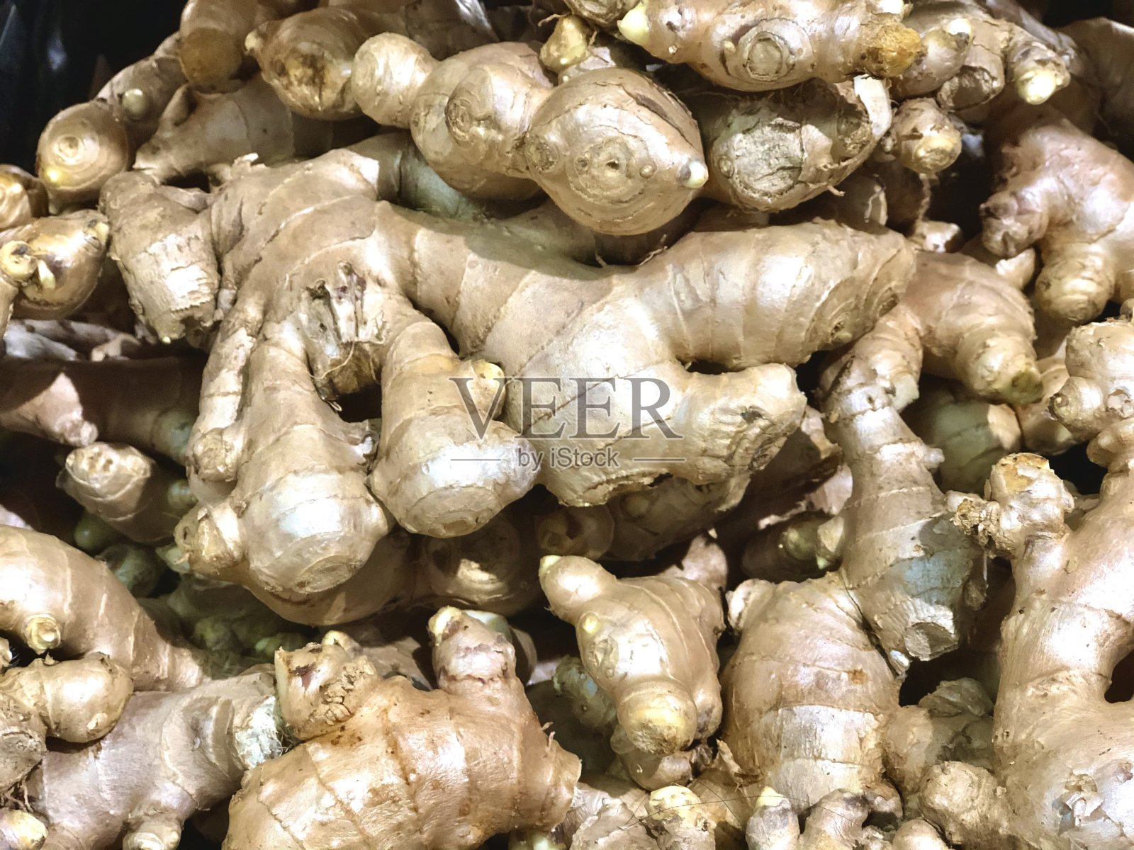 姜照片摄影图片