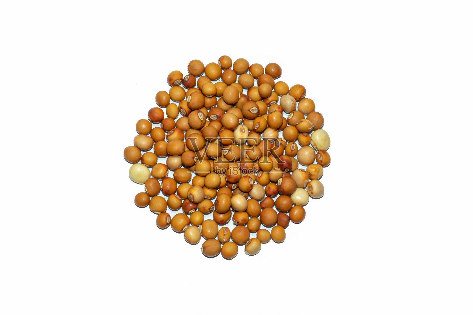 果阿豆种子，美味的食物种子在白色孤立的背景照片摄影图片