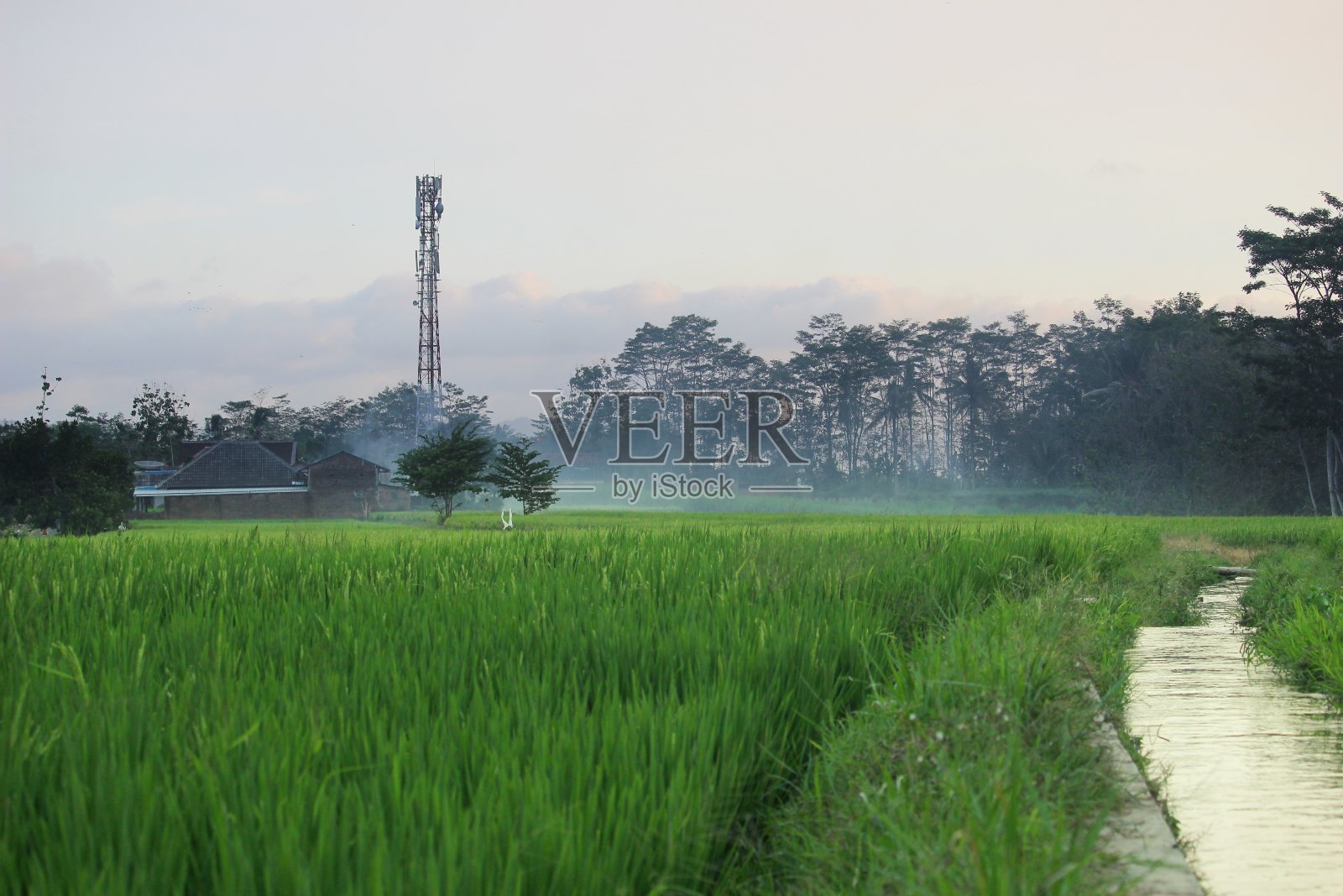 乡村的气氛是绿色的，美丽的和凉爽的照片摄影图片