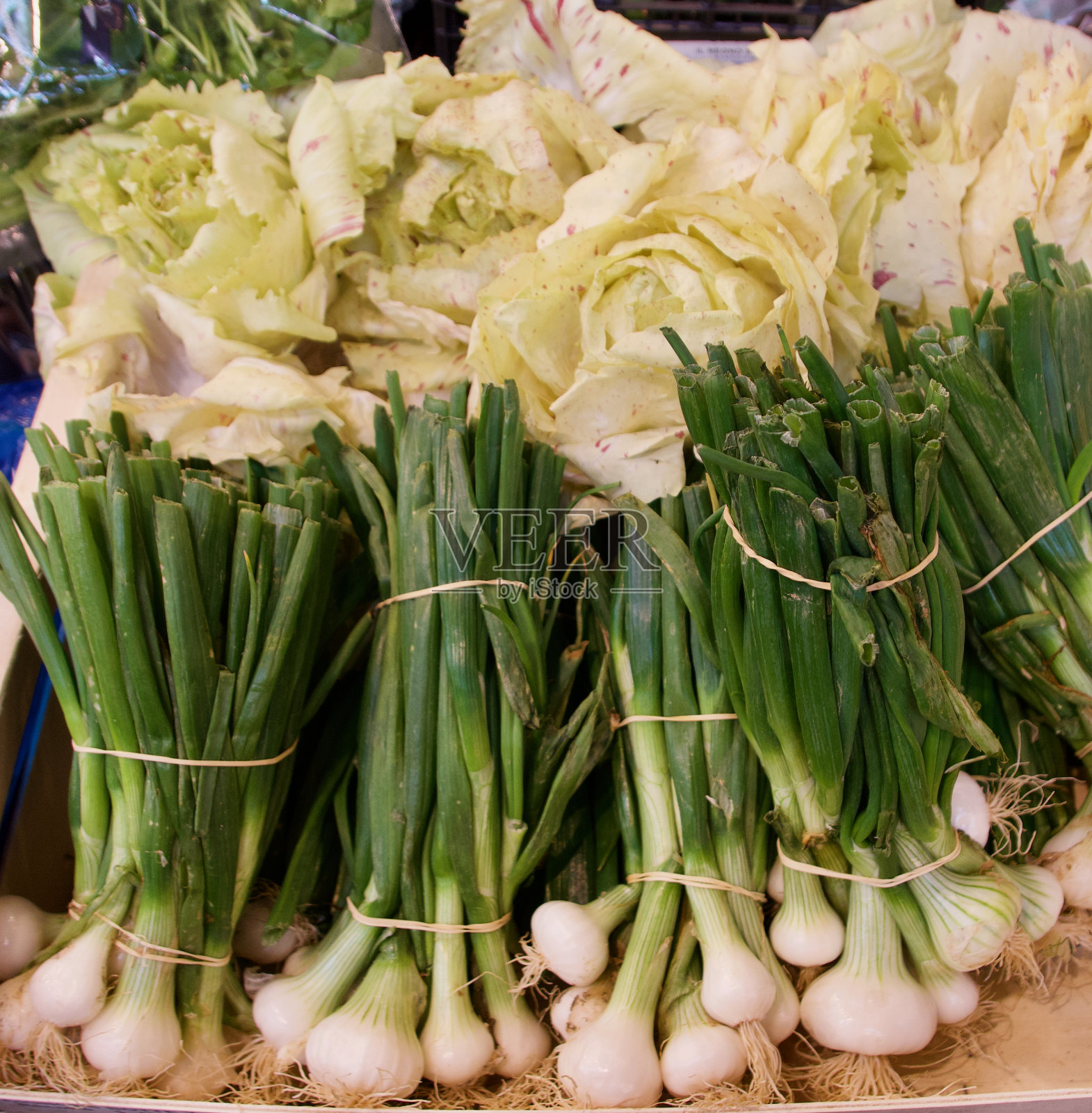 一捆捆的大葱和生菜陈列出售照片摄影图片