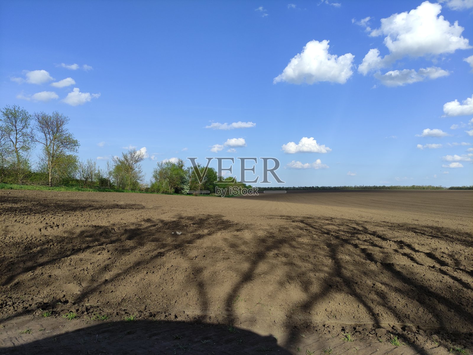 用树影犁过的农田照片摄影图片