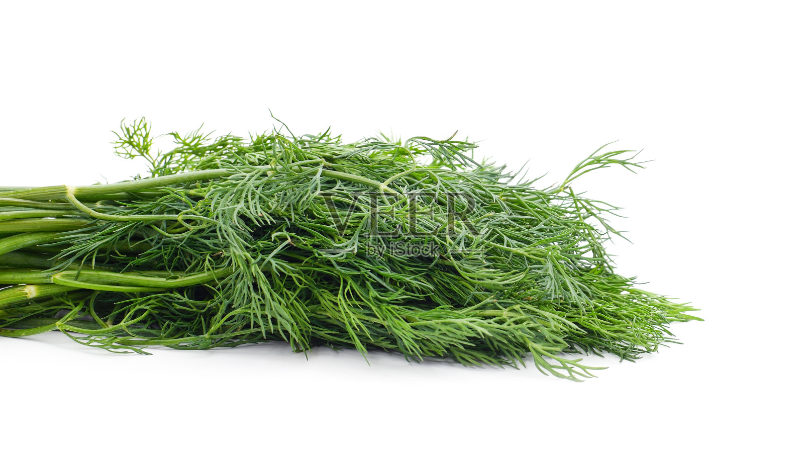 一束绿色的莳萝。照片摄影图片