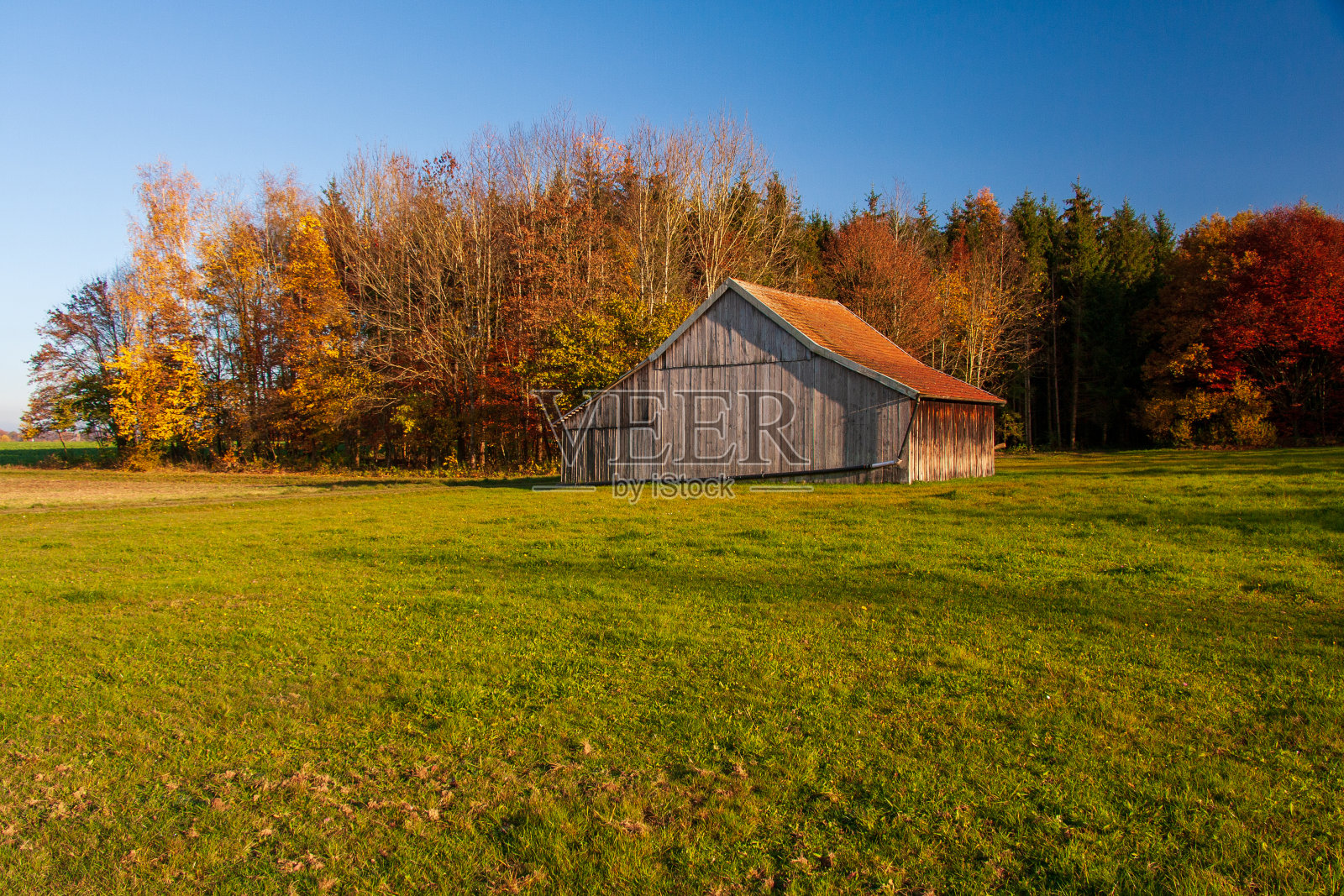 谷仓前秋林照片摄影图片