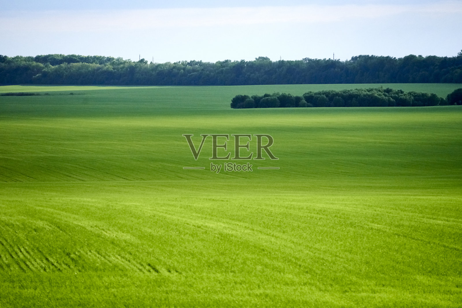 绿色的田野，蓝色的天空和淡淡的云彩照片摄影图片