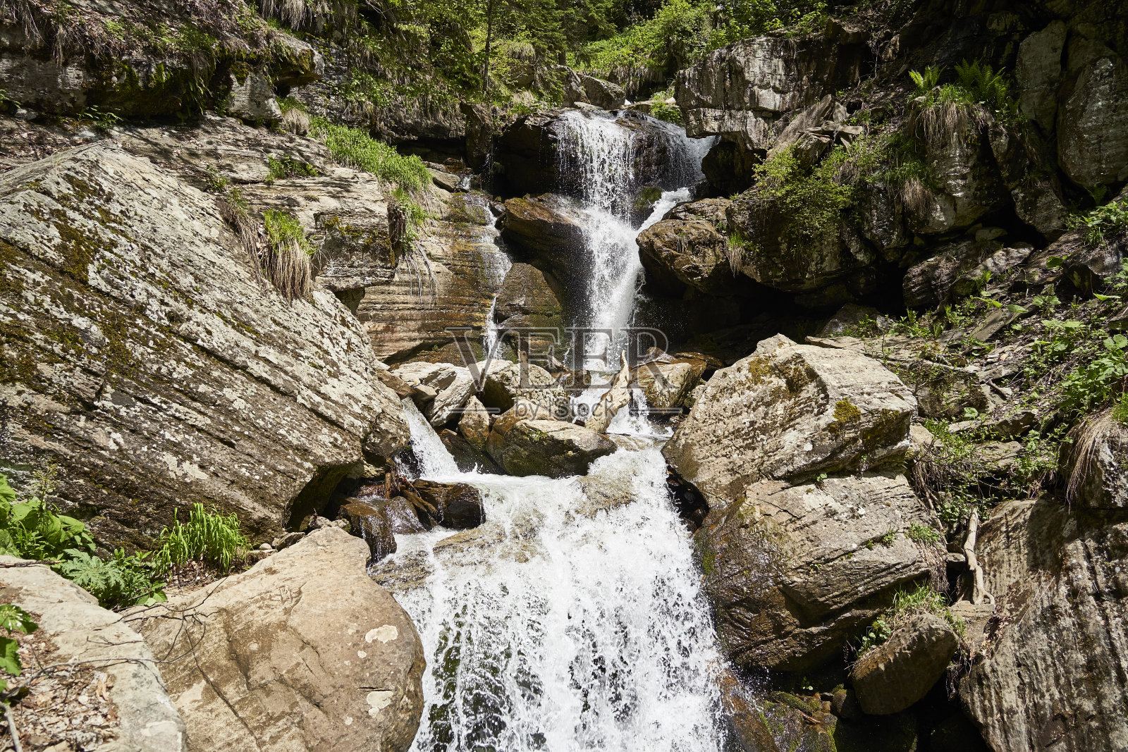 瀑布在森林和山上照片摄影图片