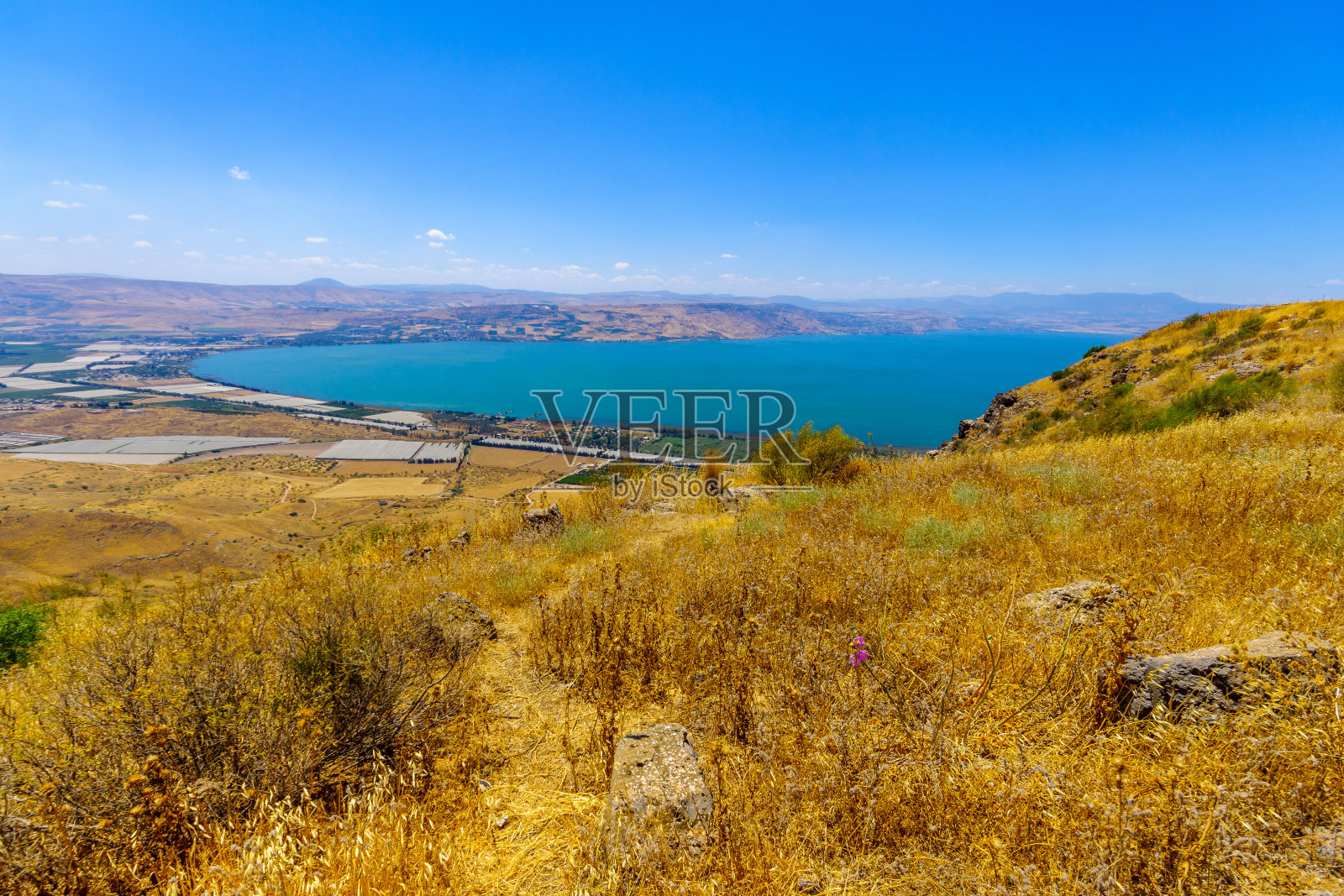 从戈兰高地看到的加利利海照片摄影图片