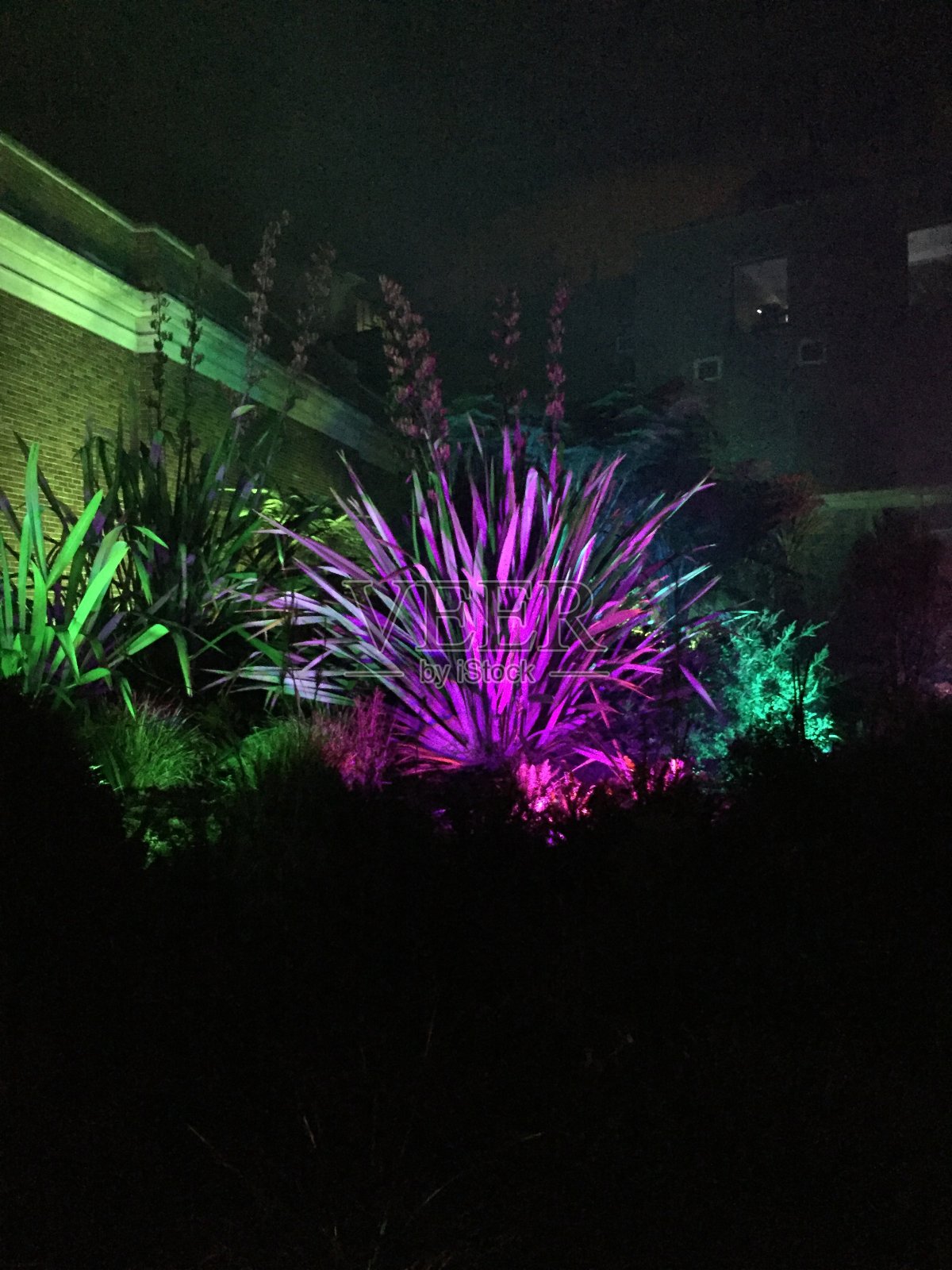 发光的亚麻照片摄影图片