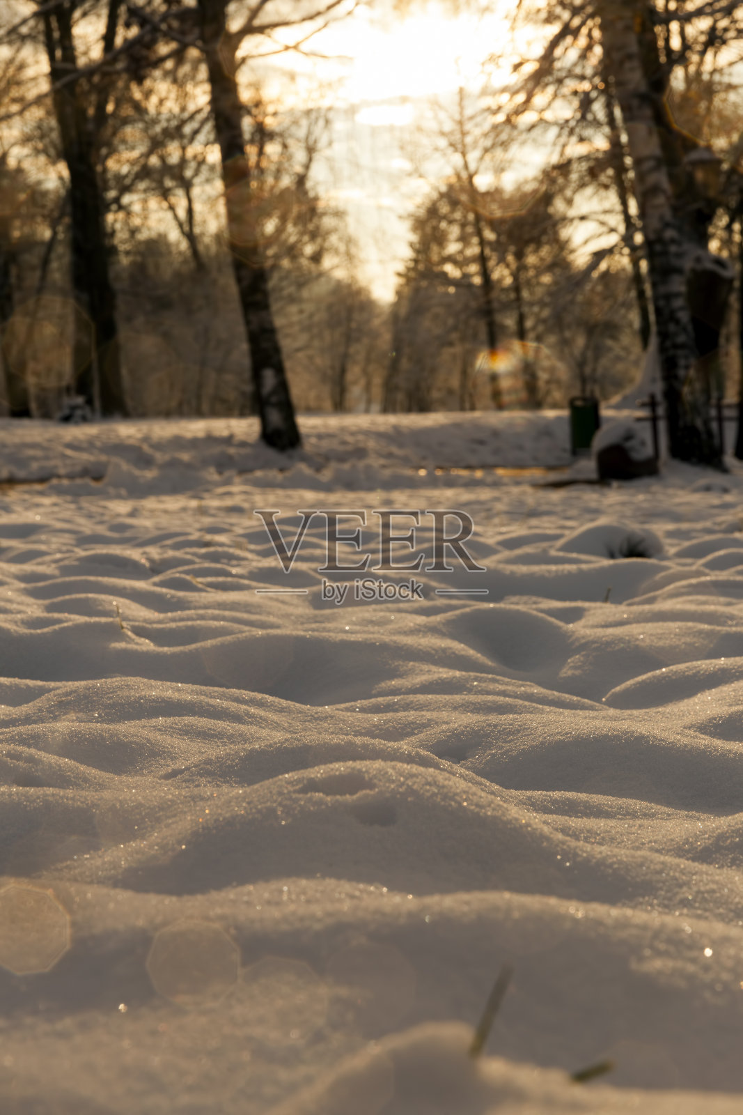 阳光有暖黄色的色调照片摄影图片