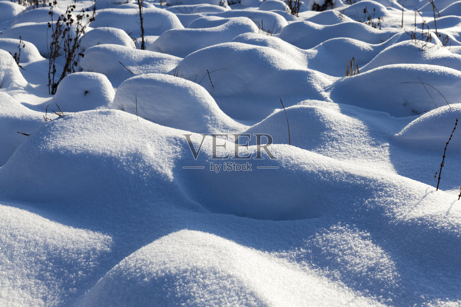 大雪和暴风雪过后，沼泽中的小丘堆成一片照片摄影图片