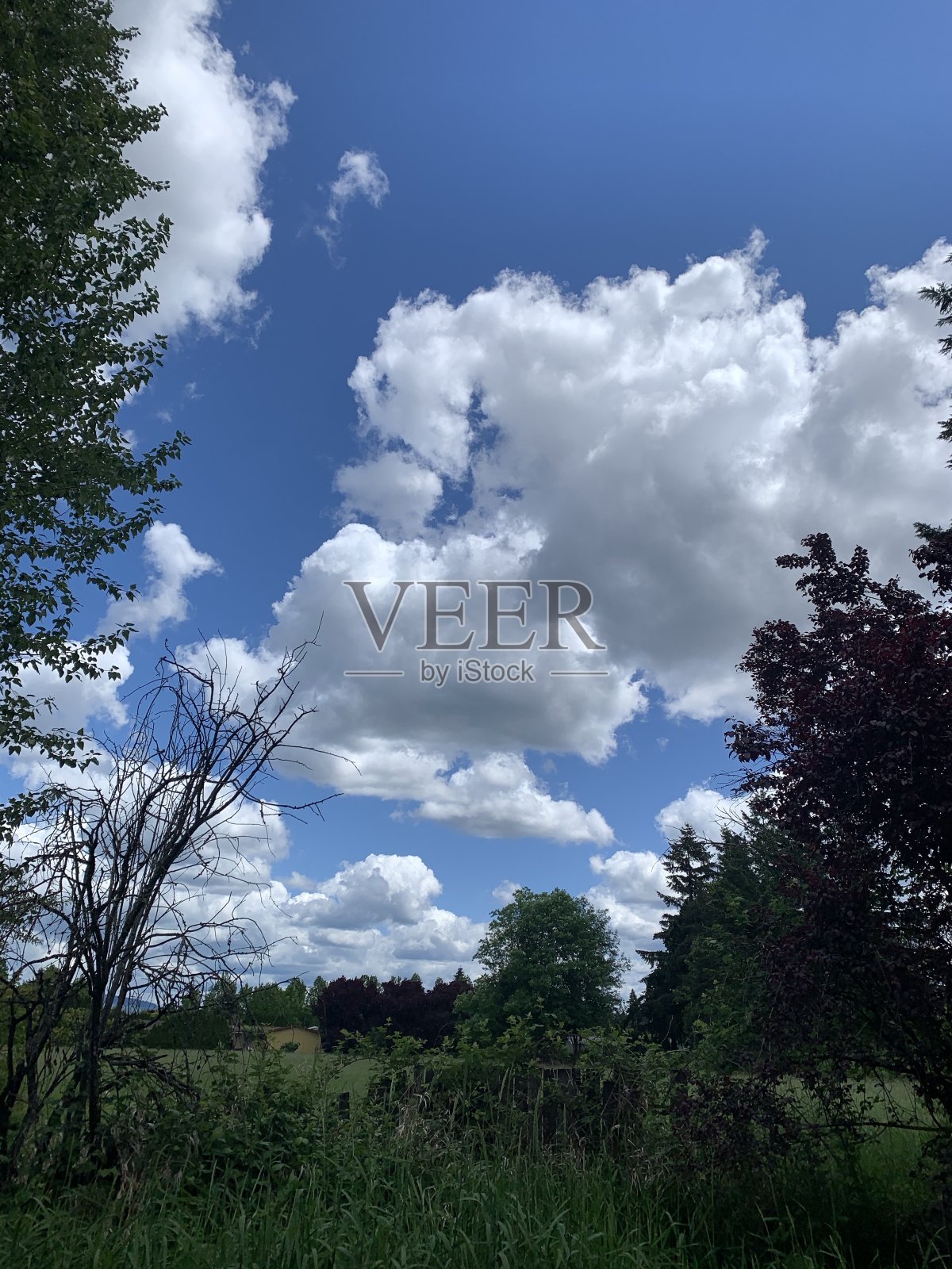 春天的天空照片摄影图片