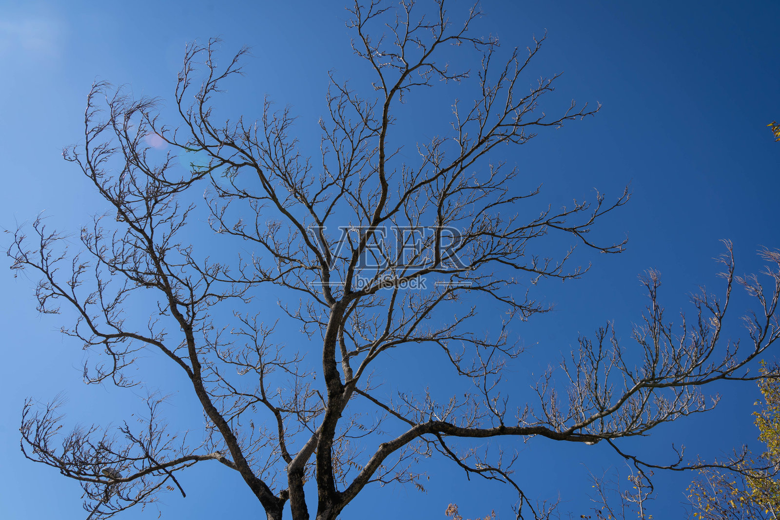 这是意大利阿布鲁佐山区初秋的景象照片摄影图片