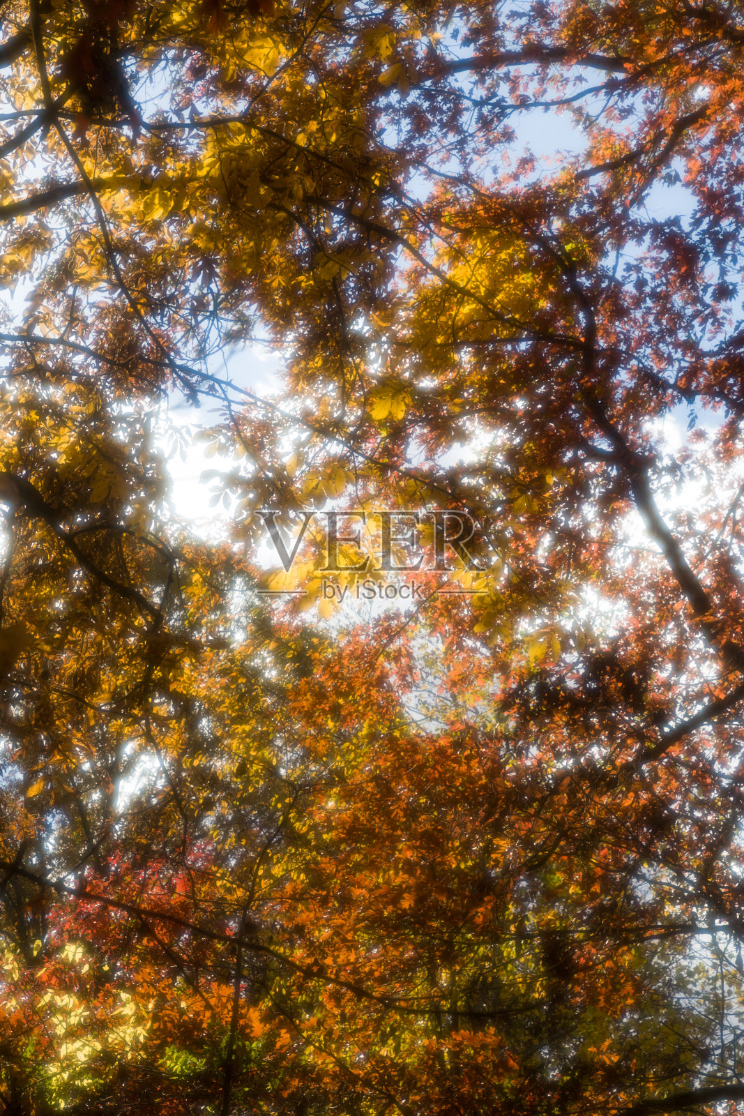 秋天的颜色照片摄影图片