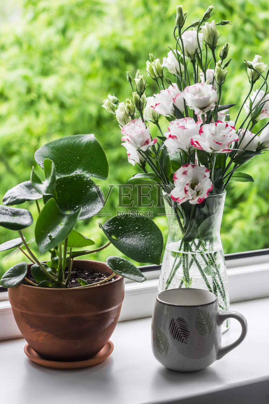 橱窗上的美丽家居静物——家里的一朵花，玻璃花瓶里的一束耳坠，窗台上的一只杯子照片摄影图片