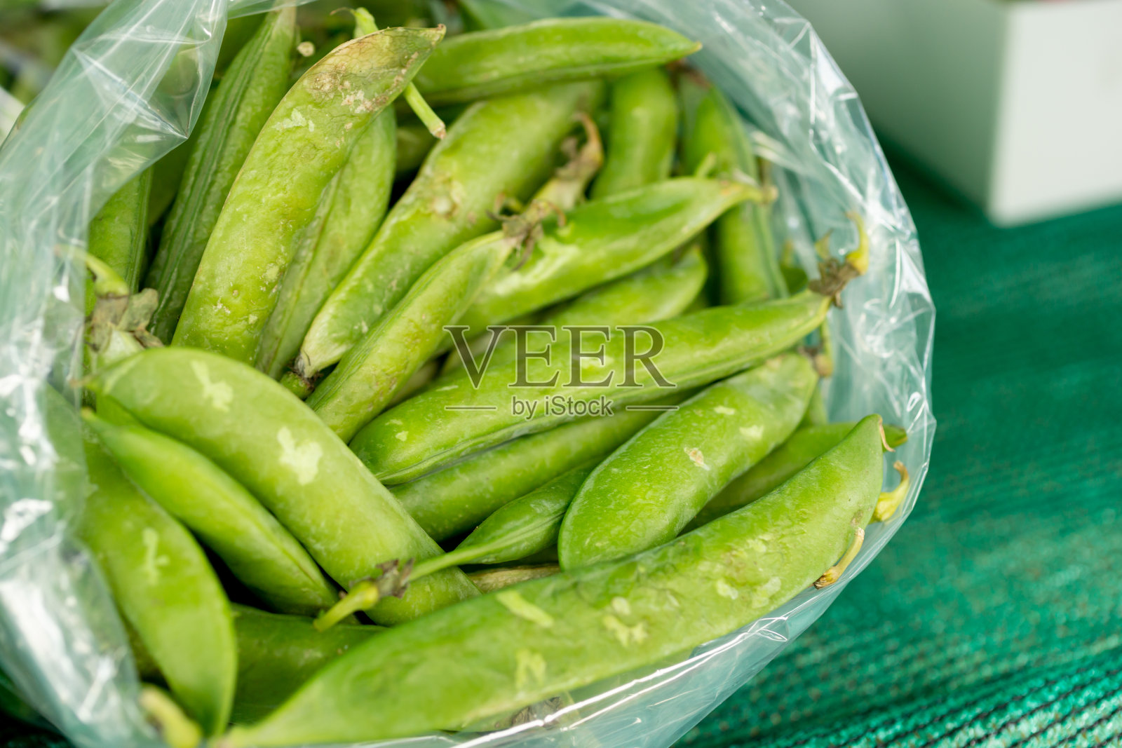 豌豆照片摄影图片