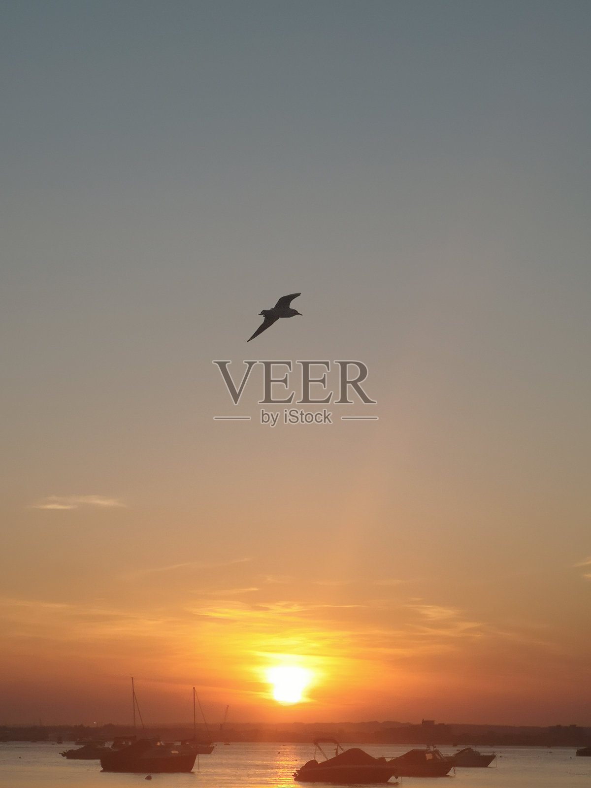 港日落照片摄影图片