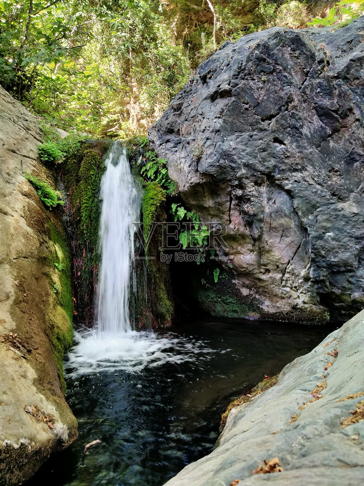 richtis台照片摄影图片