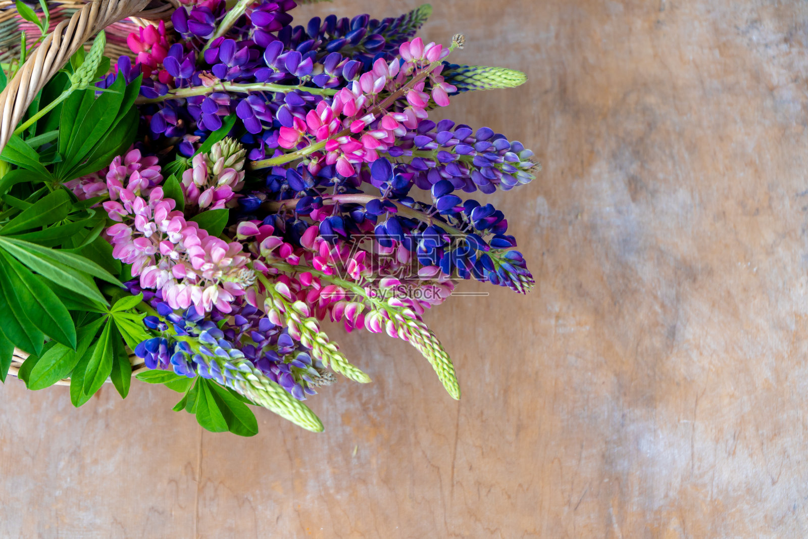一束羽扇豆。五颜六色的夏天花粉红色和紫色的木制背景。狼的花蕾。夏天花的背景。副本的空间。顶级veiw照片摄影图片