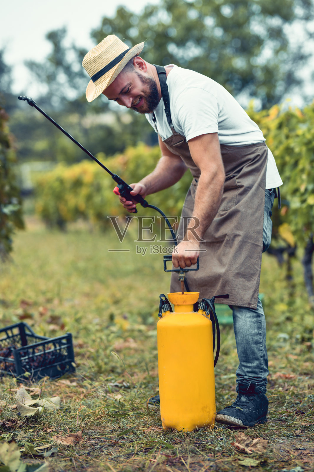 微笑的男工人准备给葡萄树喷洒农药照片摄影图片